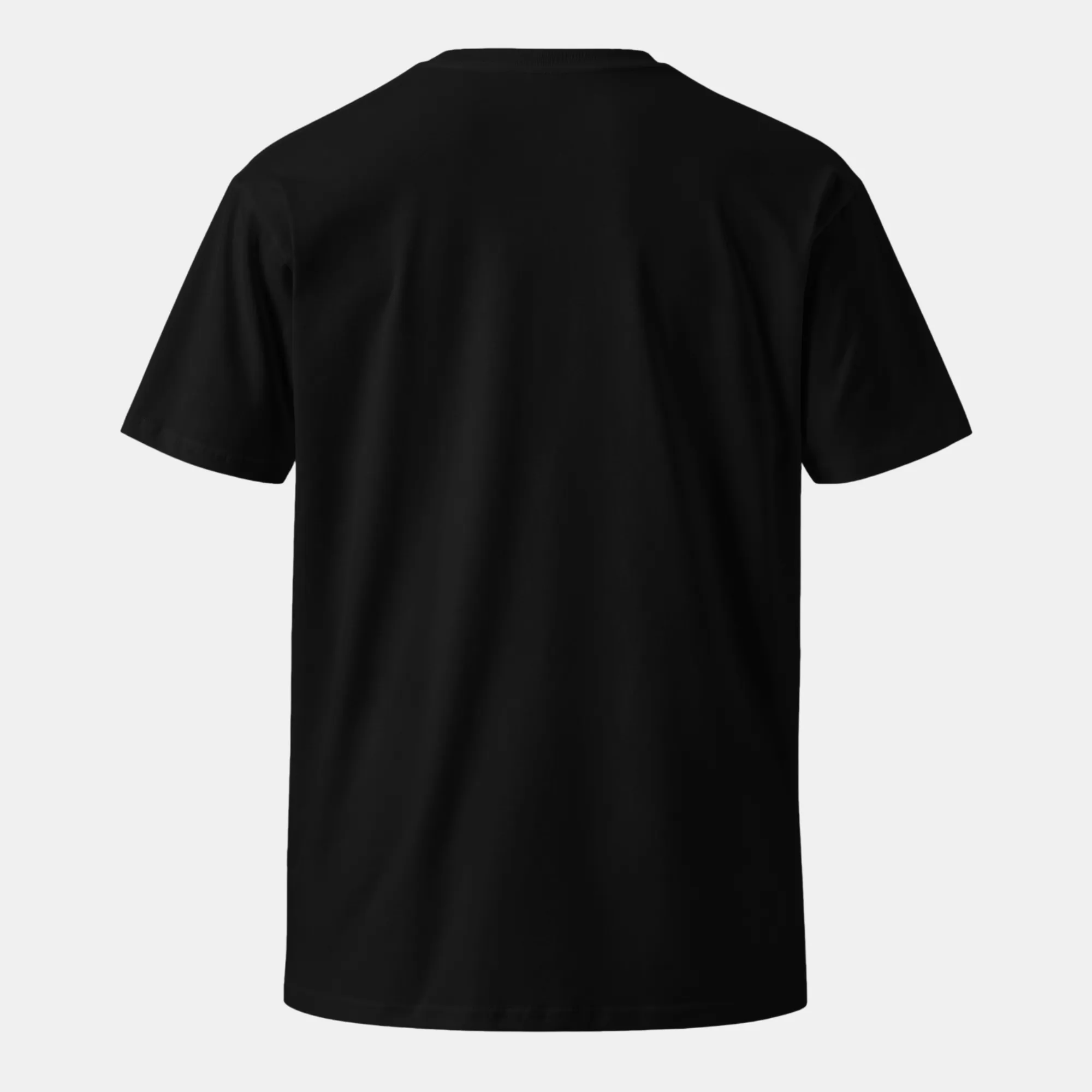 unisex-premium-t-shirt-black-back-6a312380264fe
