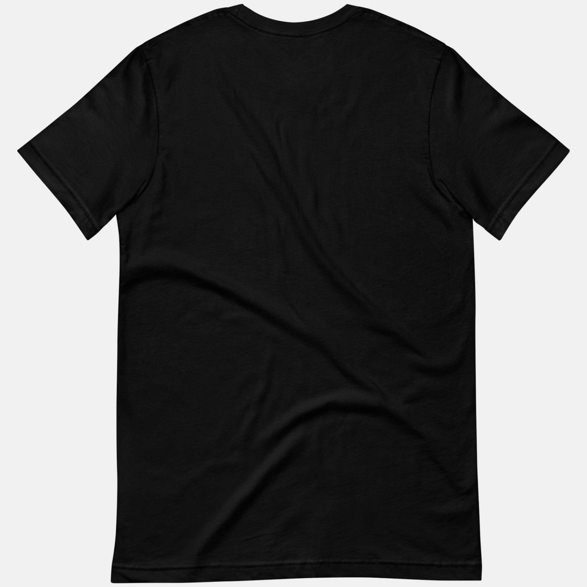 unisex-staple-t-shirt-black-back-6a4794d2c2859