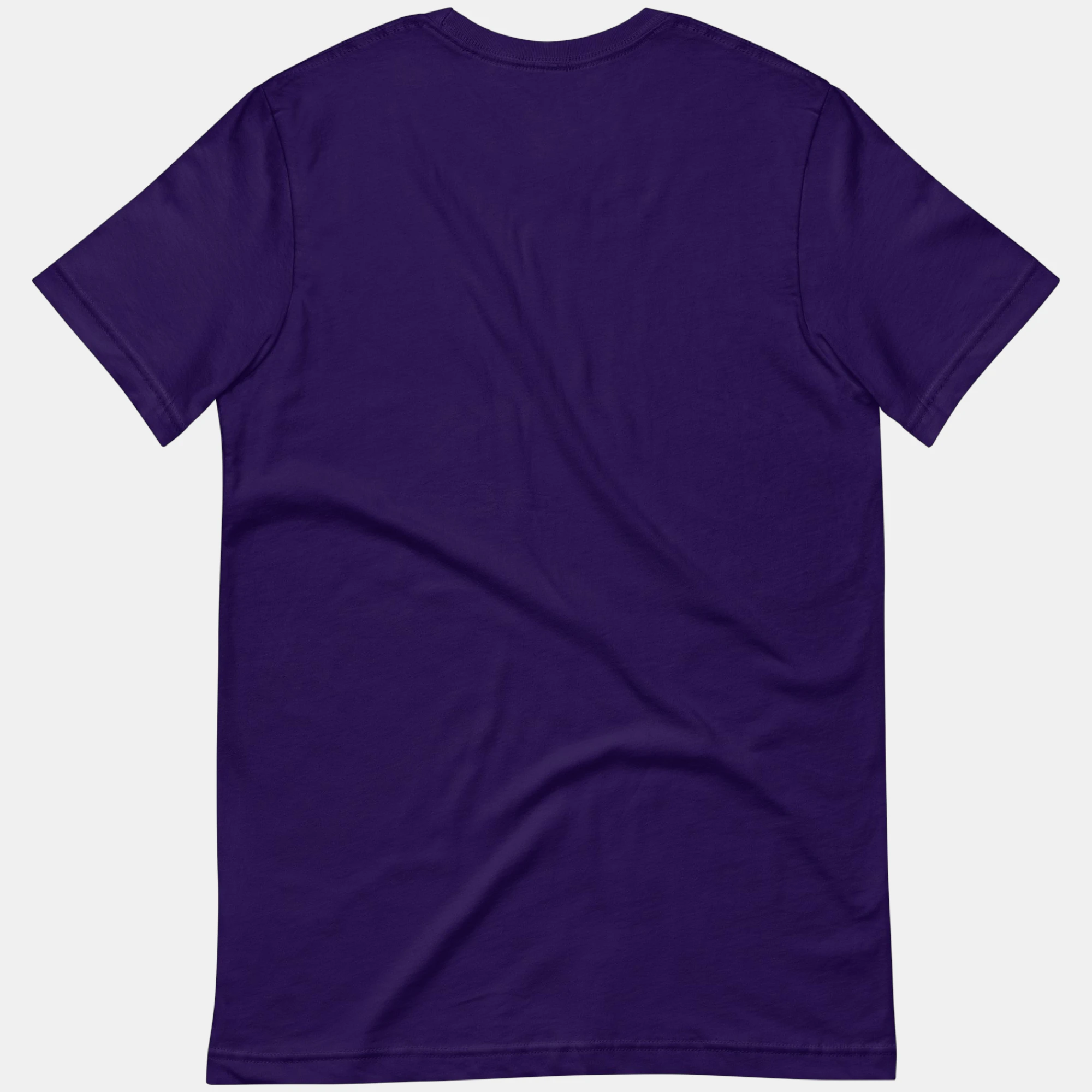 unisex-staple-t-shirt-team-purple-back-6a4794d2c297b